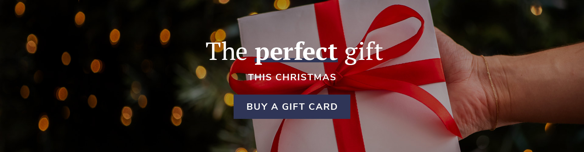 Christmas at The Prince Albert in London