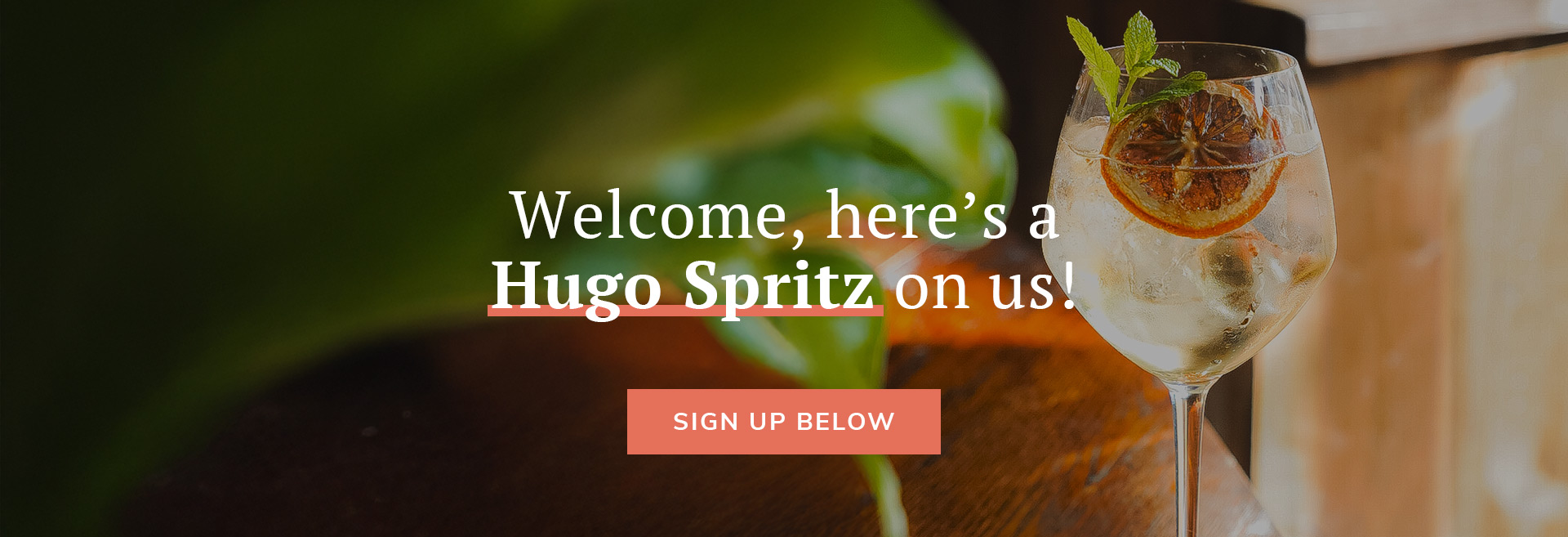 Sign up to the newsletter at The Prince Albert